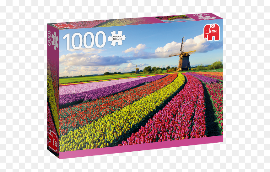 Tulip Flower In Holland, HD Png Download - flower field png