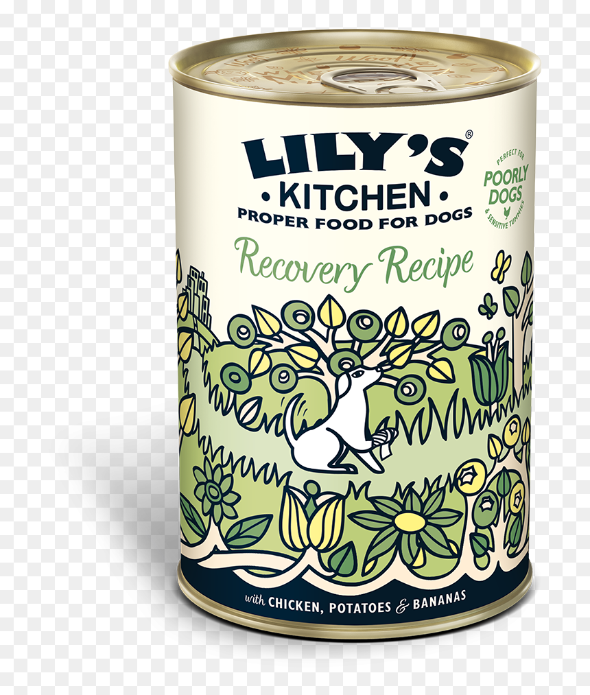 Lily's Kitchen Recovery Recipe, HD Png Download - recipe png