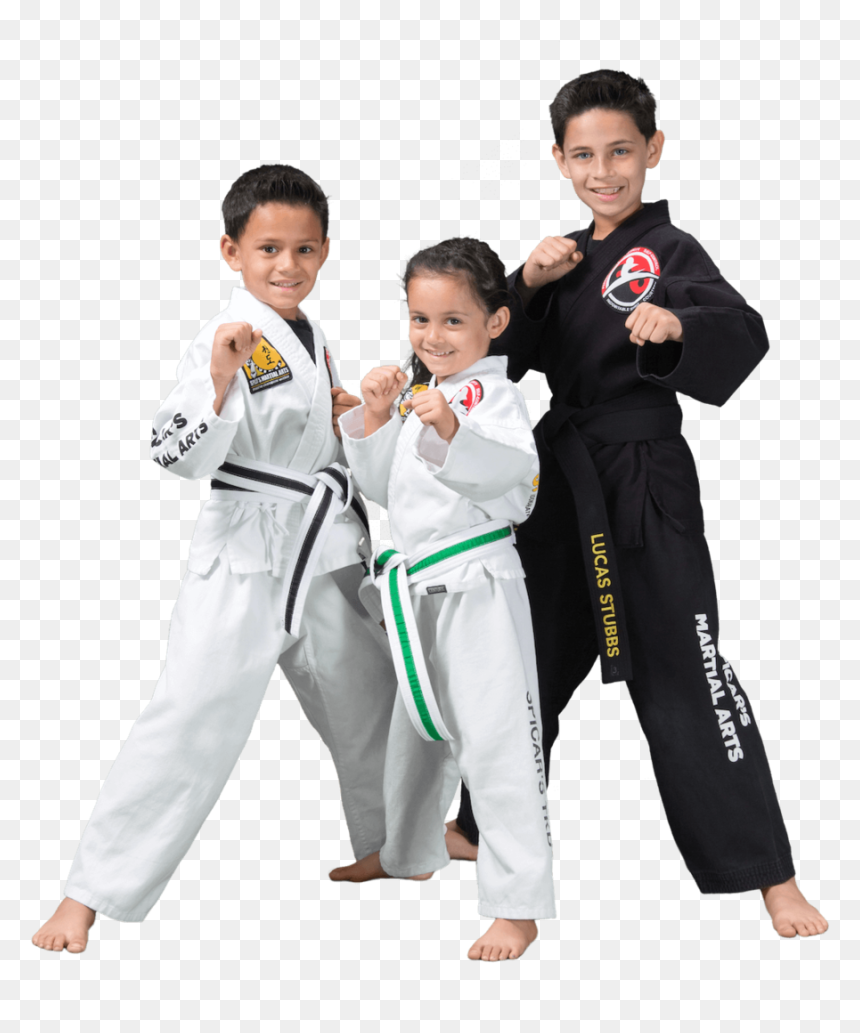 Spicars Martial Arts Kids Program Southlake Texas - Kids Karate Png, Transparent Png - karate kid png
