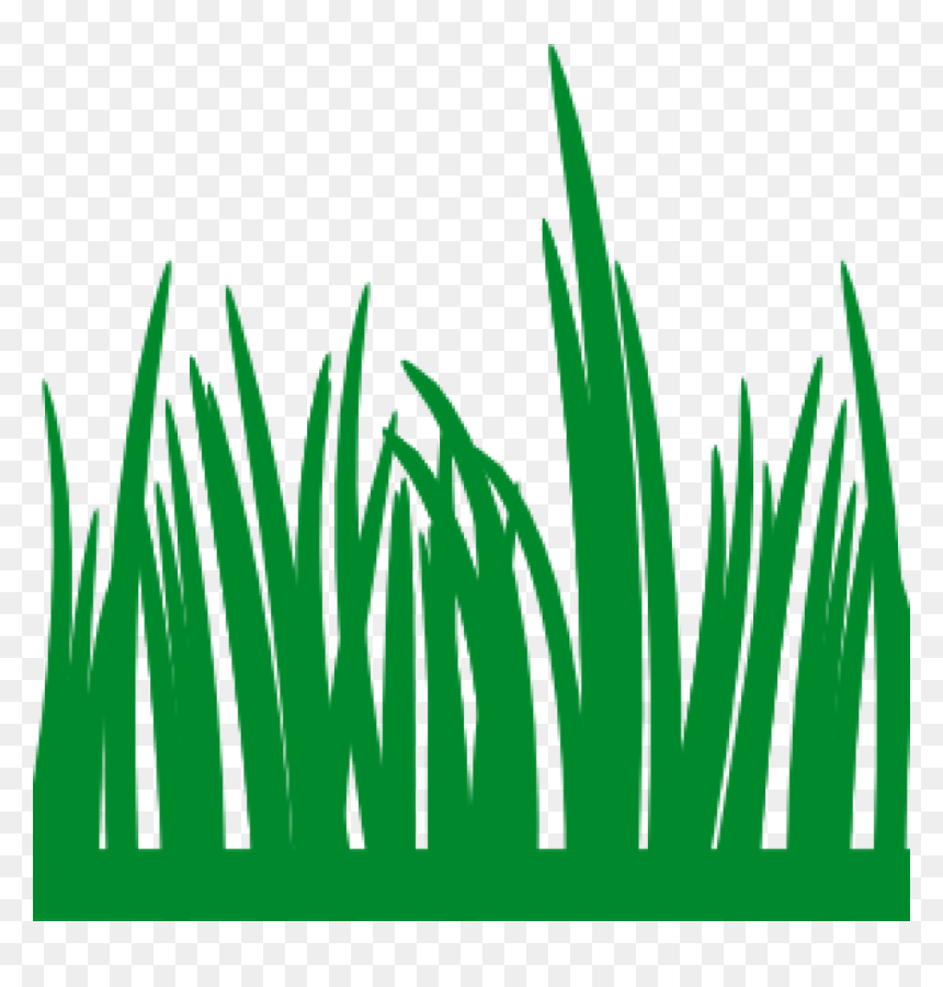 Grass Vector Png -grass Vector Png Transparent Image, - Pasto Clipart, Png Download - family vector png