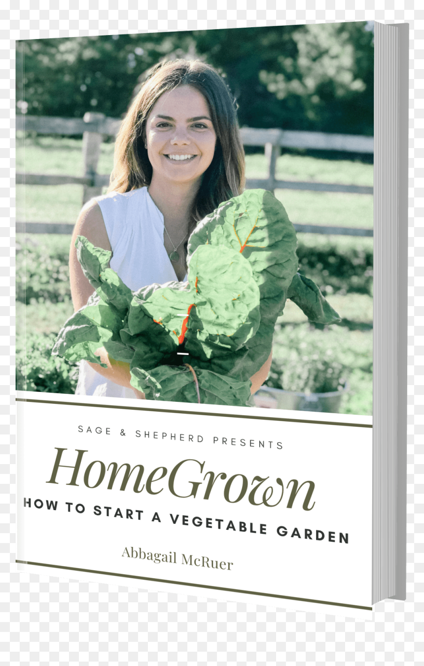 Homegrown How To Start A Garden Ebook - Poster, HD Png Download - vegetable garden png