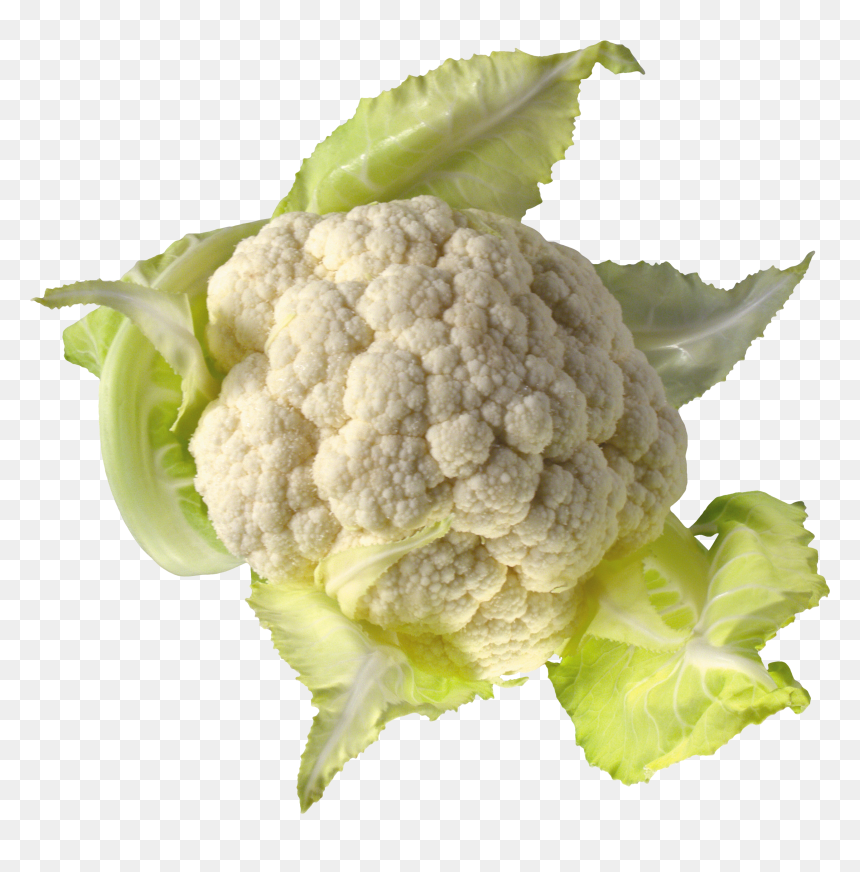Cauliflower Png Image - Transparent Background Cauliflower Clipart, Png Download - cauliflower png