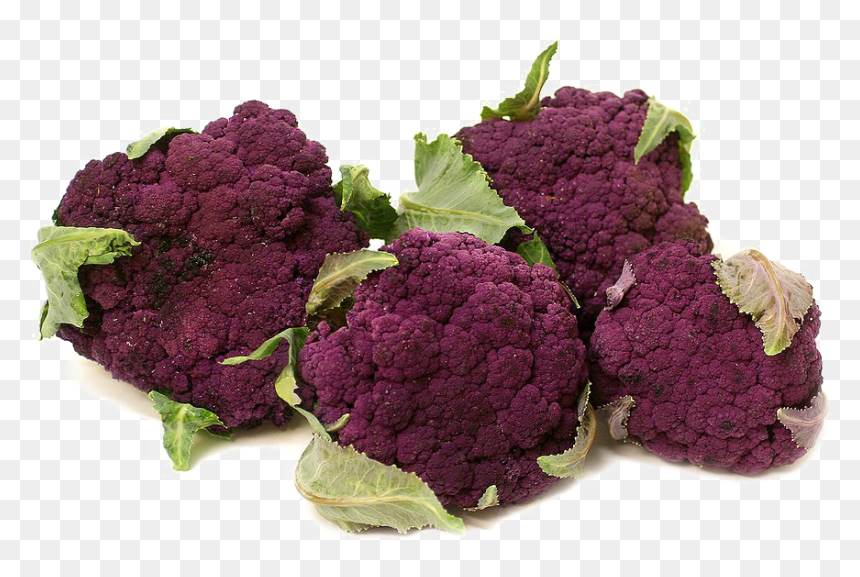 Cauliflower Png Transparent Background - Cauliflower, Png Download - cauliflower png