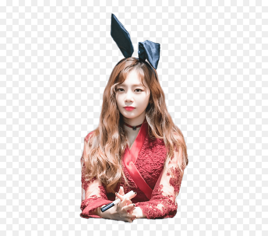 Dreamcatcher Jiu Bunny Ears - Jiu Dreamcatcher Png, Transparent Png - rabbit ears png