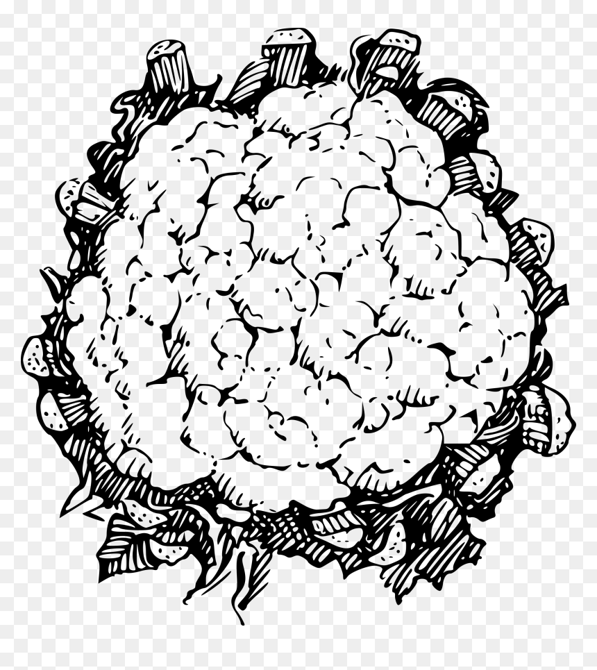 Cauliflower Clip Arts - Cauliflower Black And White, HD Png Download - cauliflower png