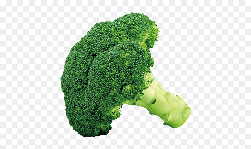 Broccoli,leaf Vegetable,cruciferous - Broccoli Clipart, HD Png Download - cauliflower png