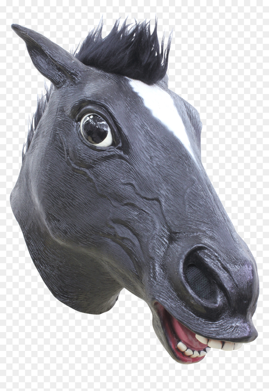 Horse Black Mask"
 Class= - Black Mask For Horse, HD Png Download - black mask png