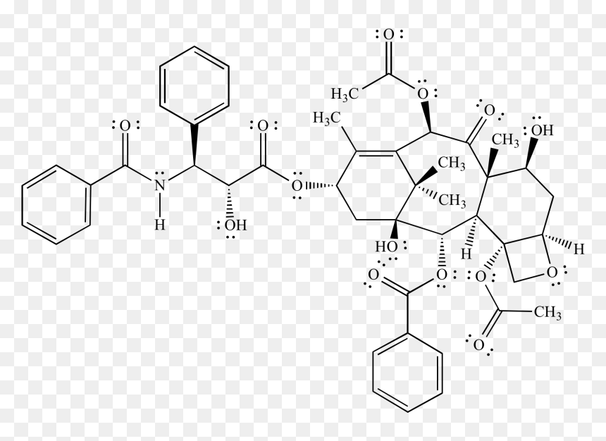 "
 Src="bond Line Structure01 - Paclitaxel Structure, HD Png Download - zig zag line png