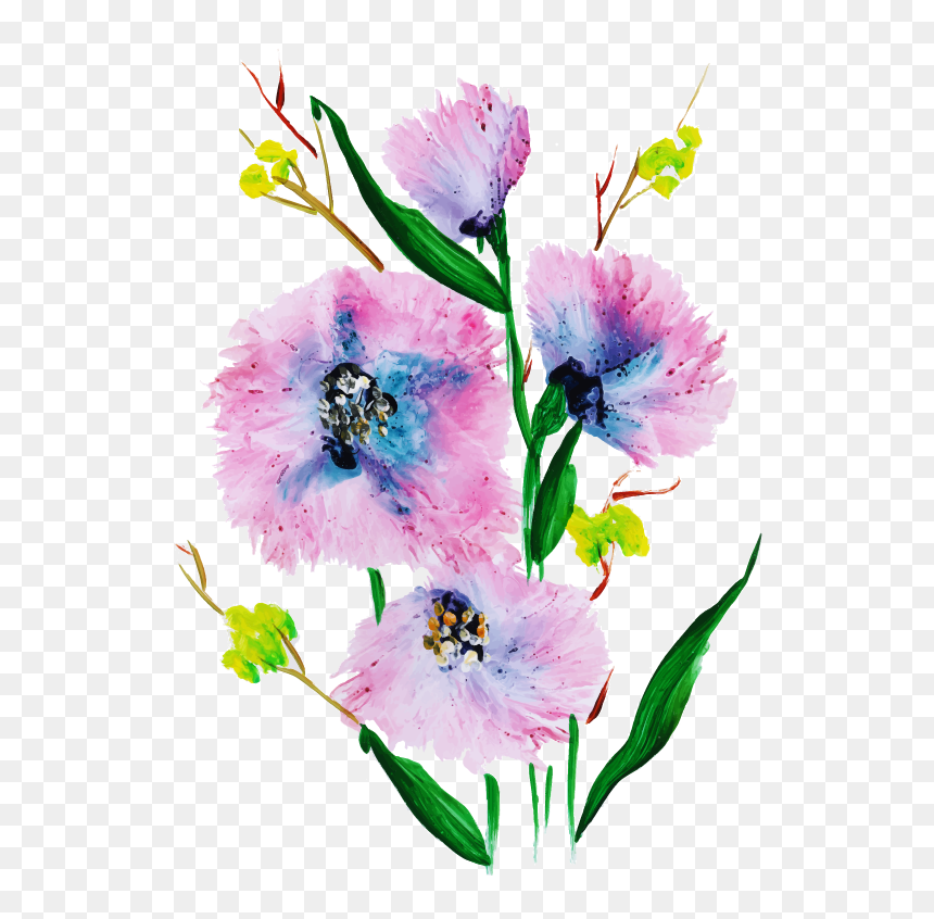 Gilliflower, HD Png Download - water color flower png