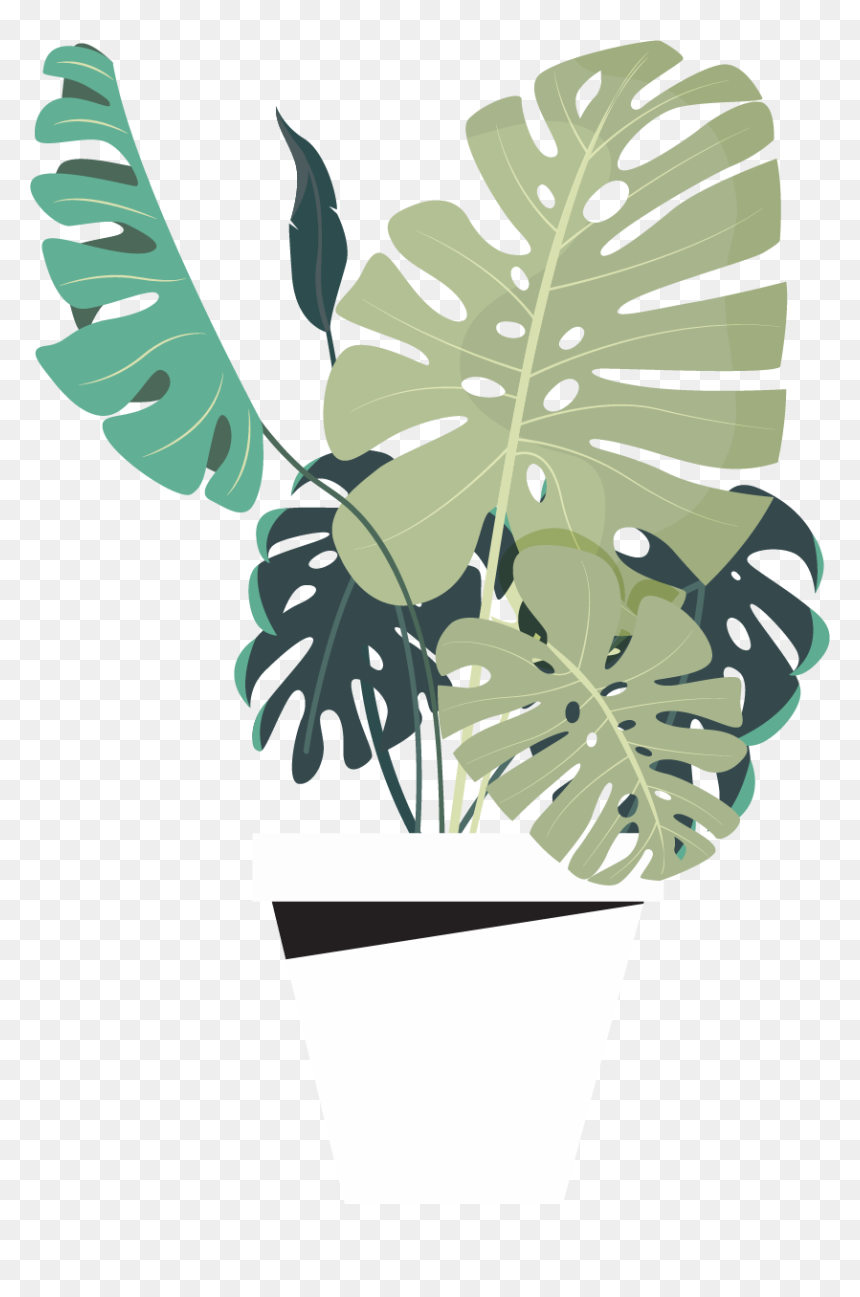 Illustration, HD Png Download - monstera leaf png