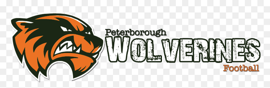 Peterborough Wolverines - Peterborough Wolverines Bantam, HD Png Download - wolverine animal png