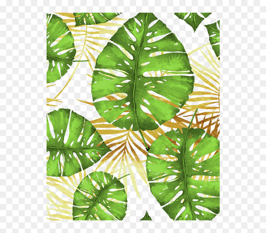 Leaf, HD Png Download - monstera leaf png