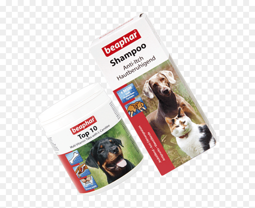 Companion Dog, HD Png Download - wolverine animal png