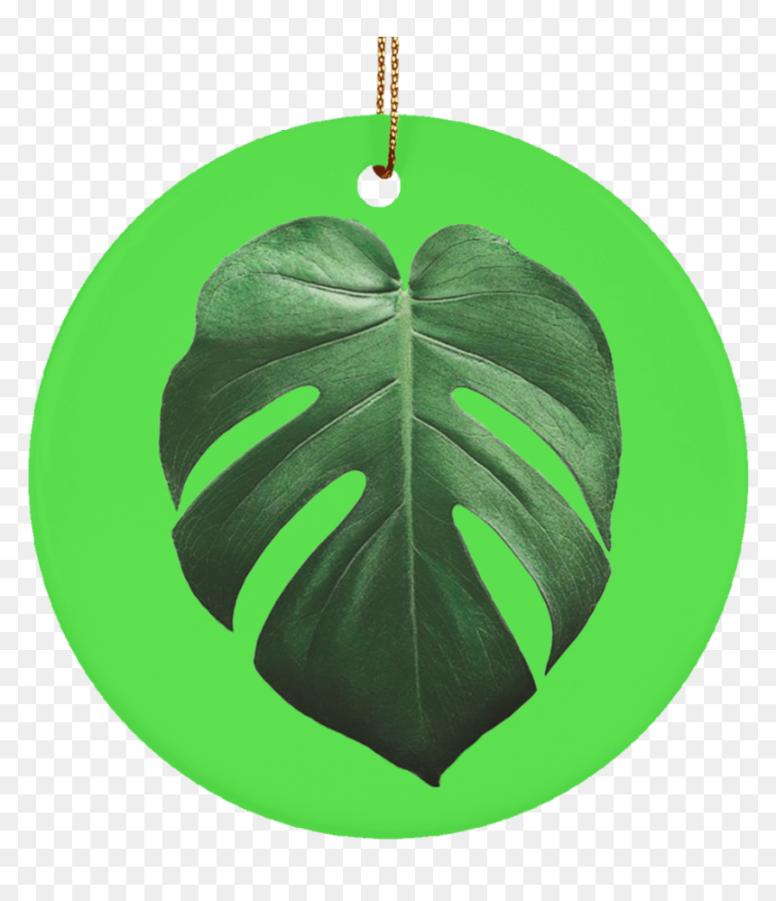 Monstera Leaves Монстера Постер, HD Png Download - monstera leaf png