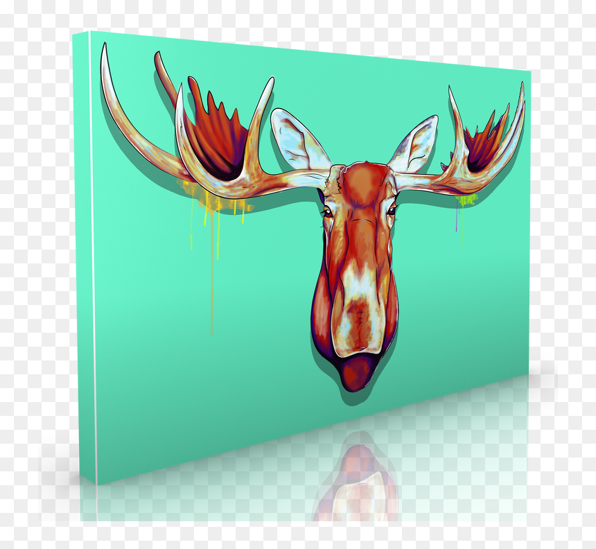 Moose Head - Illustration, HD Png Download - moose head png