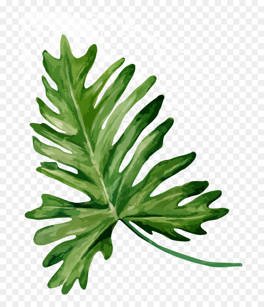 Bandinist Floppy Bow Headband-tropical Mix Clipart - Foglie Giungla Png, Transparent Png - monstera leaf png