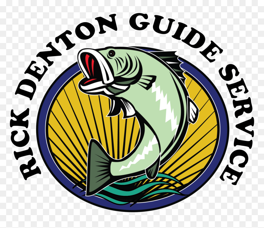 Fish Outline Png , Png Download - Eel, Transparent Png - fish outline png