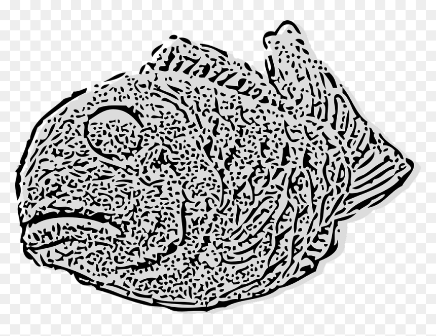 Fossil, Animal, Fish, Prehistoric - Vector Graphics, HD Png Download - fish outline png