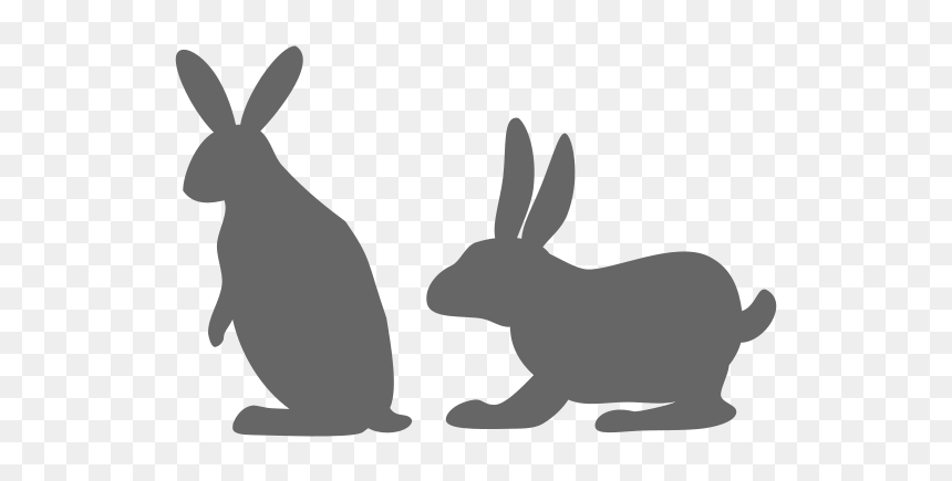Rabbit Image Vector Example Image - Domestic Rabbit, HD Png Download - rabbit silhouette png
