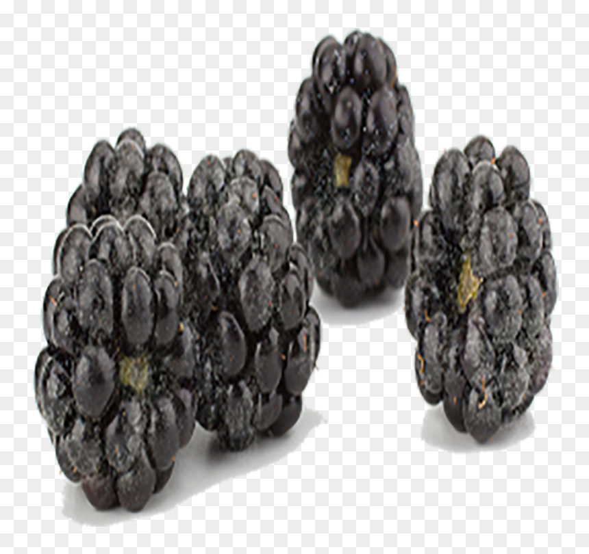 Blackberry, HD Png Download - blackberries png