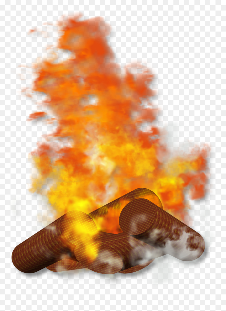 M Fire Png, Transparent Png - conch png