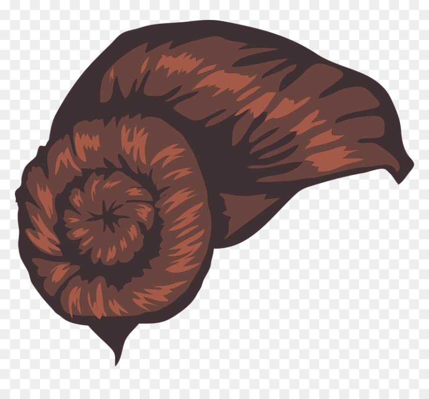 Princess Leia Png - Princess Leia Hair No Background, Transparent Png - princess wand png