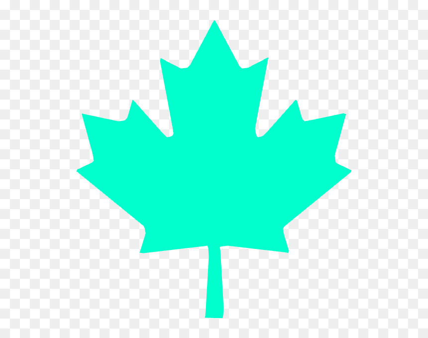 Wbp Maple Leaf, HD Png Download - red leaf png