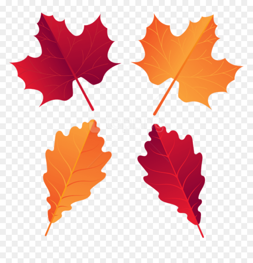 Free Png Download Fall Deco Leaves Clipart Png Photo - Portable Network Graphics, Transparent Png - leaf clip art png