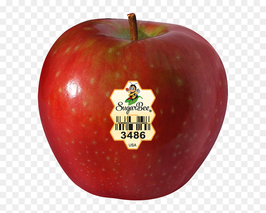 Transparent Golden Apple Png - Chelan Washington Apple, Png Download - golden apple png