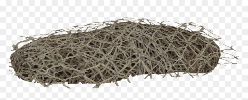 Netting - Dayz Netting, HD Png Download - netting png