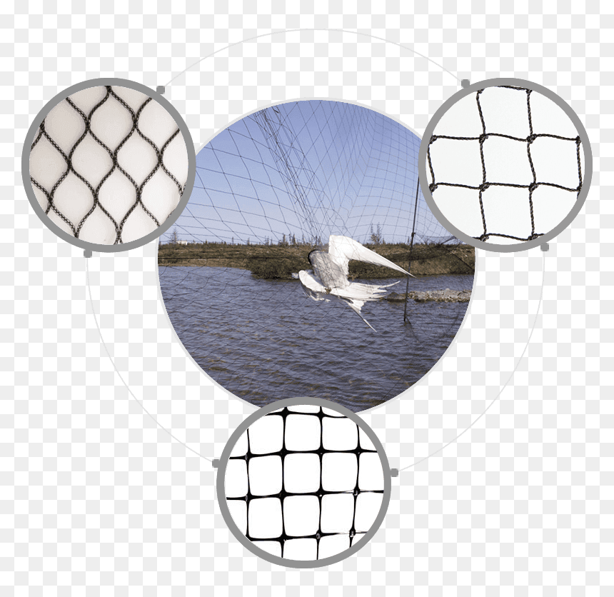 Fishing Net, HD Png Download - netting png