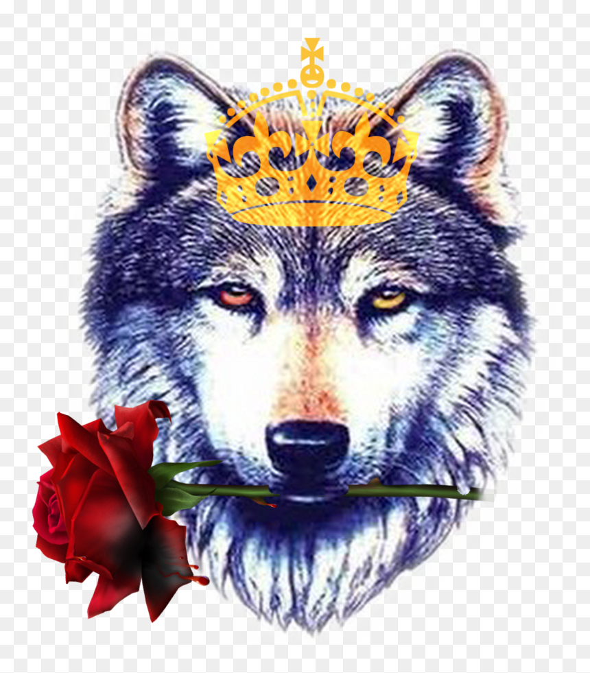 Amazing Wollf Head Tattoo Design Sample - Wolf Tattoo Png, Transparent Png - wolf tattoo png