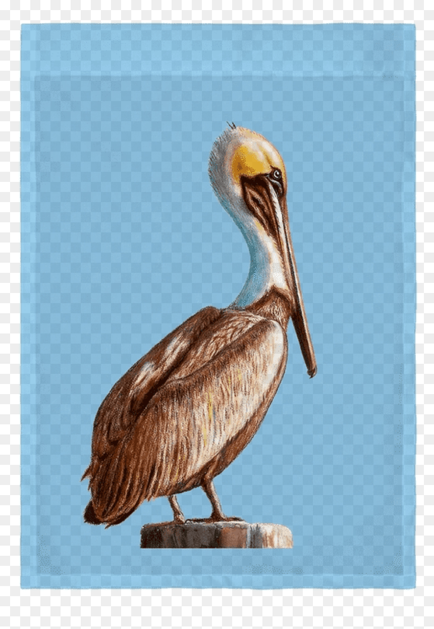 Brown Pelican, HD Png Download - drake head png