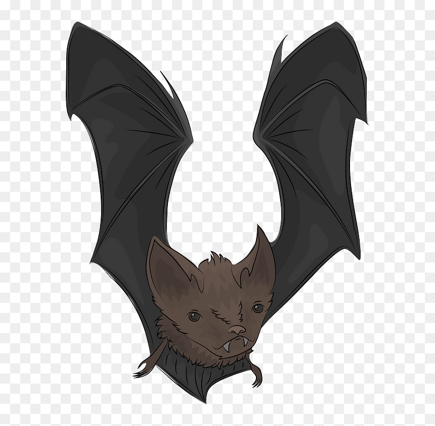 Comma, HD Png Download - halloween .png