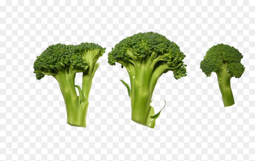 Broccoli, Clippings, Vegetables - Broccoli Top View Png, Transparent Png - brocoli png