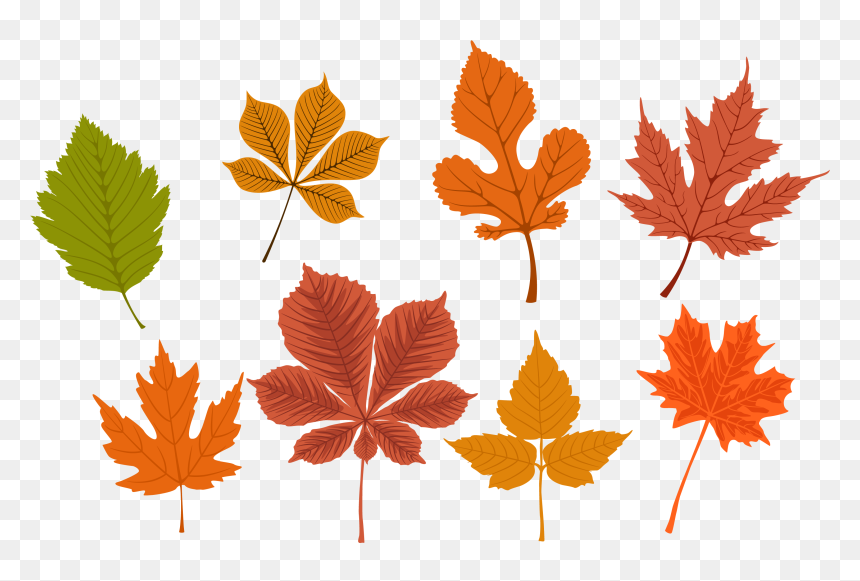 Free Png Autumn Leaves, Transparent Png - fall leaves falling png