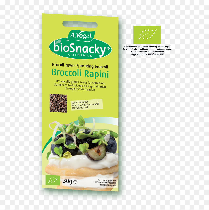 Biosnacky® Broccoli Rapini Sprouting Seeds - Vogel Bio Snacky Broccoli, HD Png Download - brocoli png