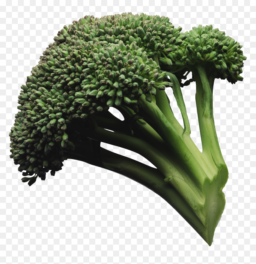 Go Foods 5 Examples, HD Png Download - brocoli png