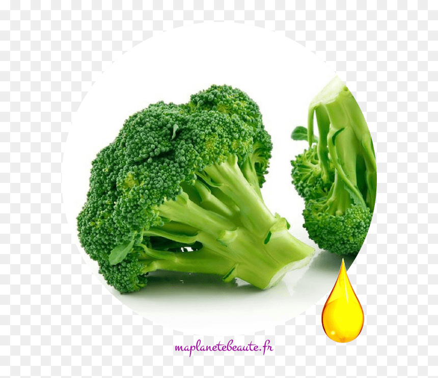 Huile De Brocoli - Vegetables We Eat, HD Png Download - brocoli png