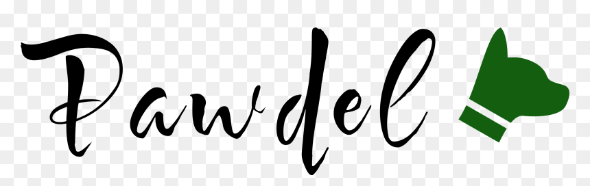 Calligraphy, HD Png Download - twine bow png