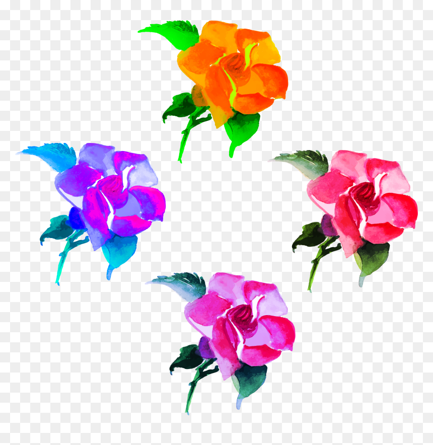 Transparent Bougainvillea Clipart - Garden Roses, HD Png Download - colorful flowers png