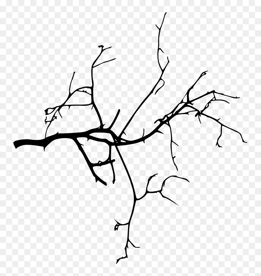 Branches Silhouette, HD Png Download - branch png