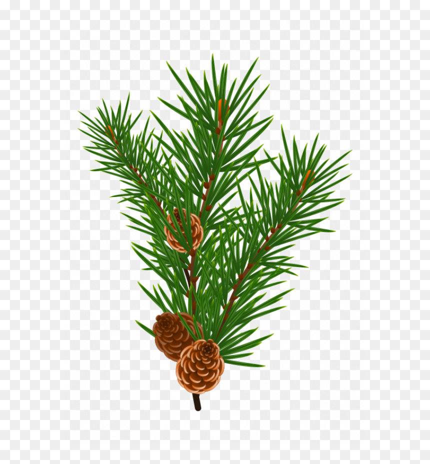 Indoor Palm, HD Png Download - branch png