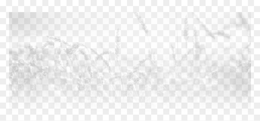 Sketch, HD Png Download - overlay png
