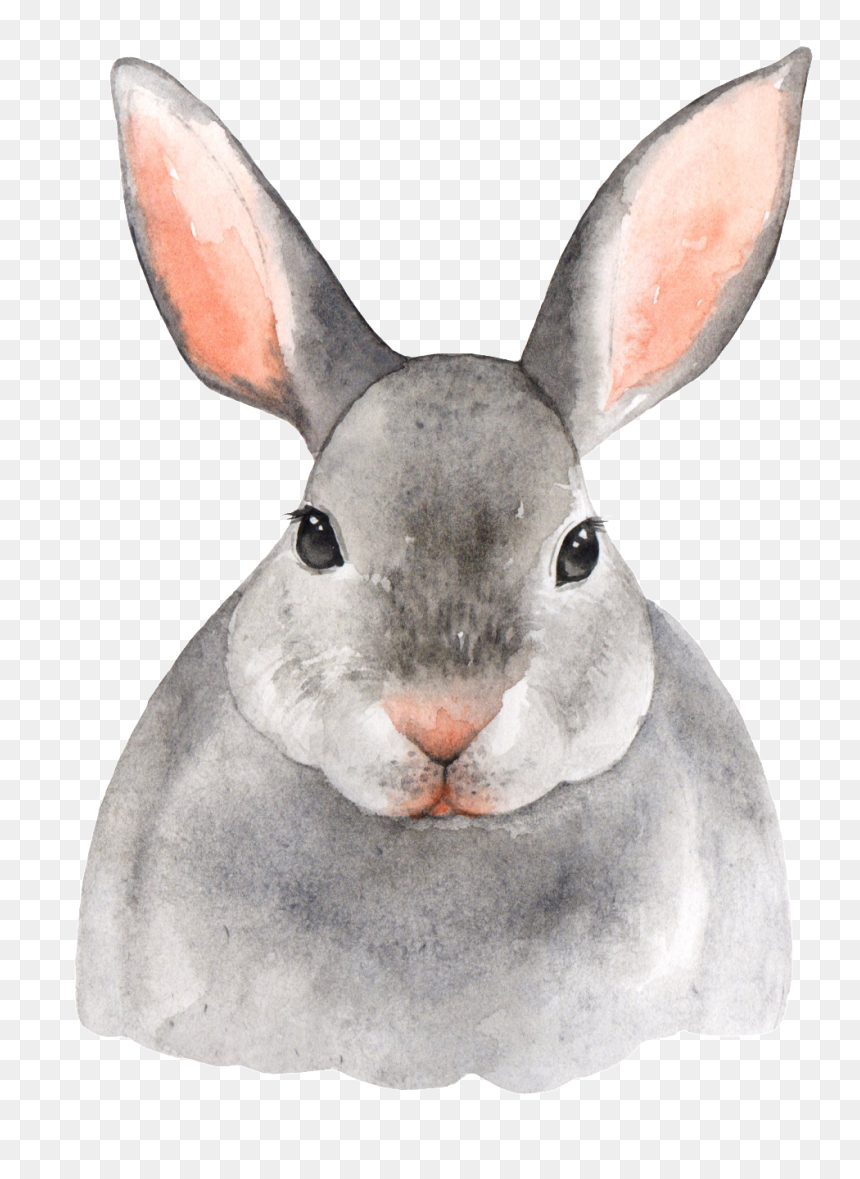 2019 Watercolor Calendar Printable Animals, HD Png Download - rabbit png
