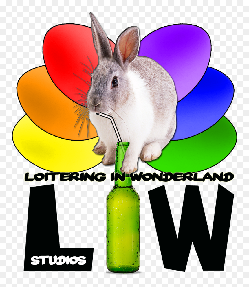 動物 画像, HD Png Download - rabbit png
