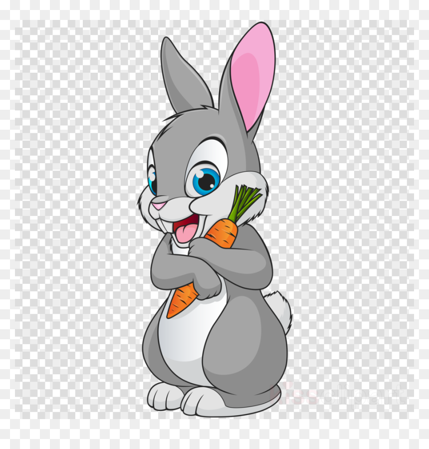 Man Stock Image Png, Transparent Png - rabbit png