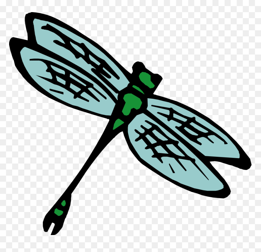 Insect Clipart, HD Png Download - kid png