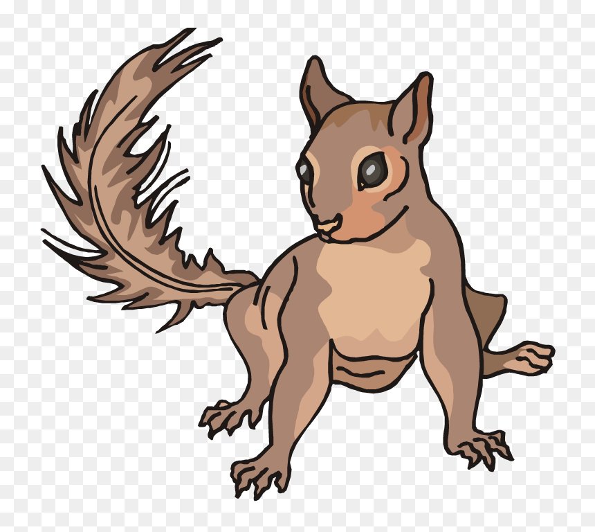 Squirrels Allowed, HD Png Download - squirrel png