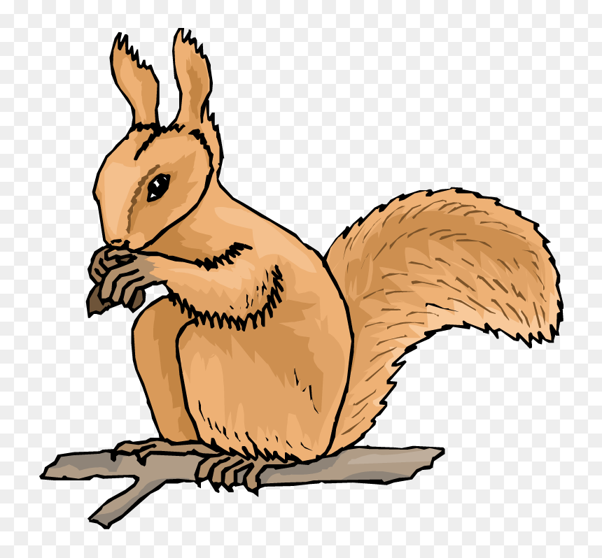 Animated Squirrel Clipart, HD Png Download - squirrel png